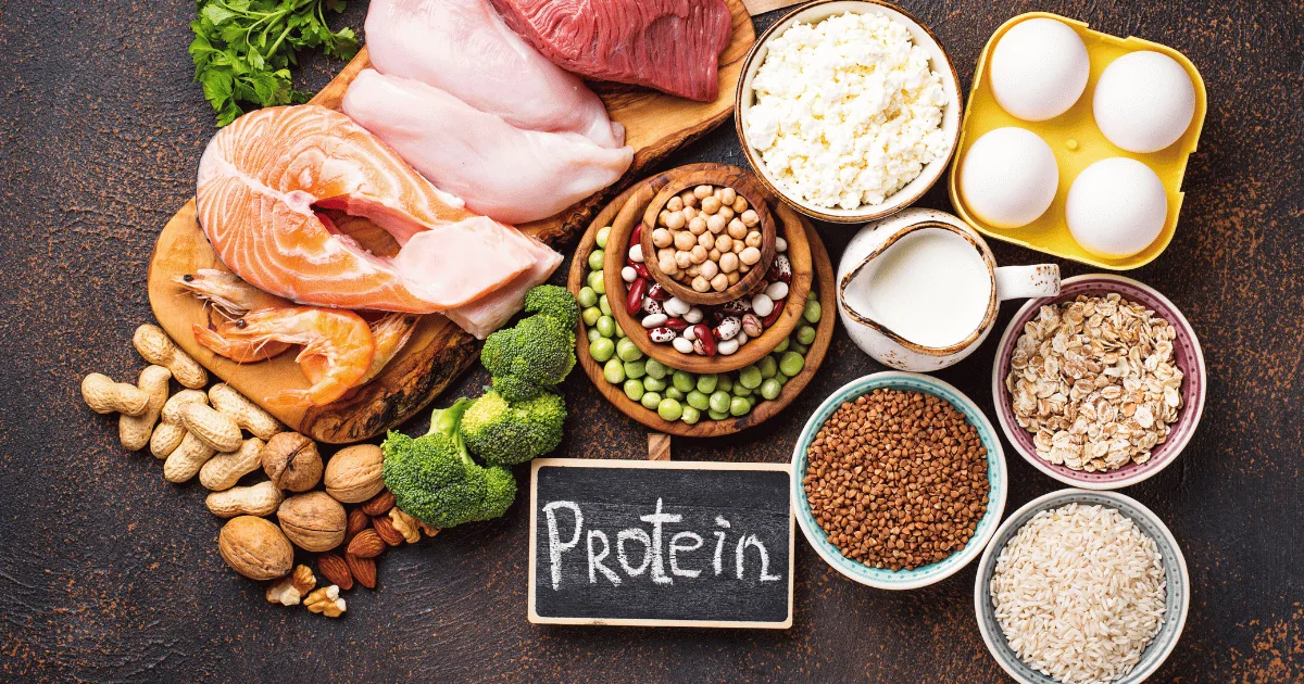 Best high-protein snacks for 2026 — bars, jerky, yogurt, chips, nuts